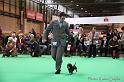 Crufts2011_2 1083